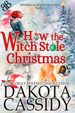 How the Witch Stole Christmas -- Dakota Cassidy